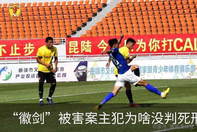 “徽剑”被害案主犯为啥没判死刑？徽剑被质疑养水军还和缅北电诈势力有勾连