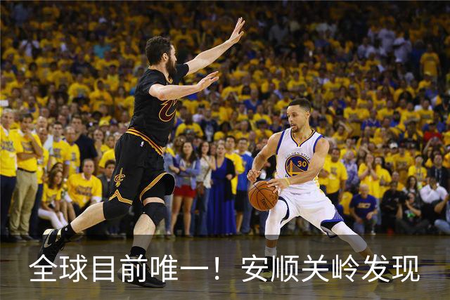 全球目前唯一！安顺关岭发现