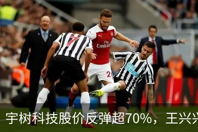 宇树科技股价反弹超70%，王兴兴身家695亿元，首次入围胡润百富榜