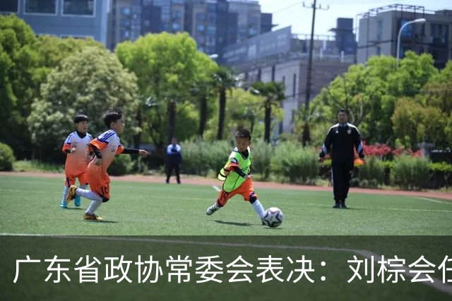 广东省政协常委会表决：刘棕会任副秘书长