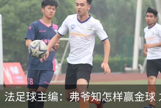 法足球主编：弗爷知怎样赢金球 之前捧C罗现在推笨马