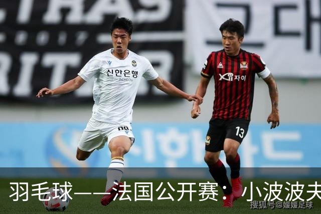 羽毛球——法国公开赛：小波波夫男单夺冠