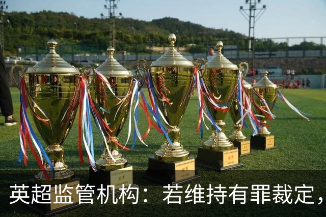 英超监管机构：若维持有罪裁定，可强制曼城出售