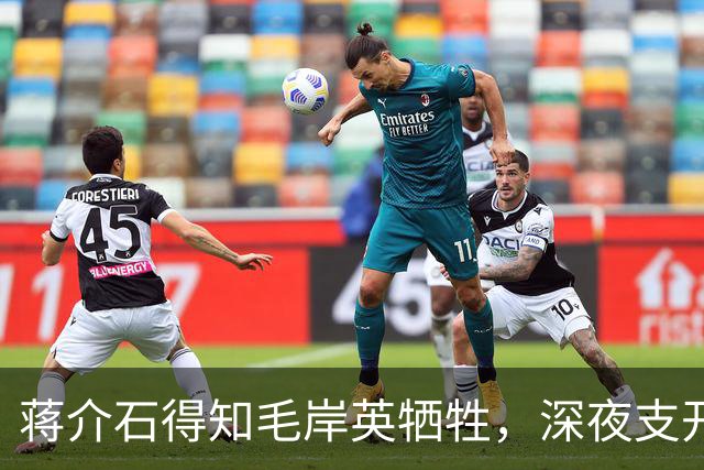 蒋介石得知毛岸英牺牲，深夜支开宋美龄，对蒋经国说出那番话