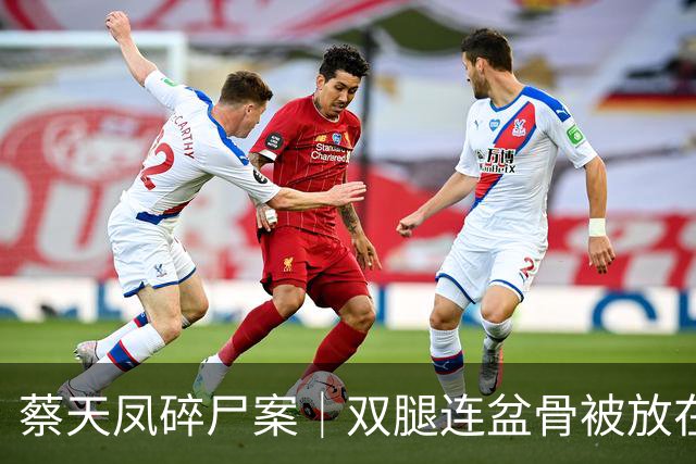 蔡天凤碎尸案｜双腿连盆骨被放在冰箱内，政府化验师形容“骨上面有点肉”