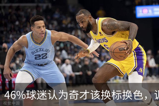 46%球迷认为奇才该换标换色，调查结果出炉