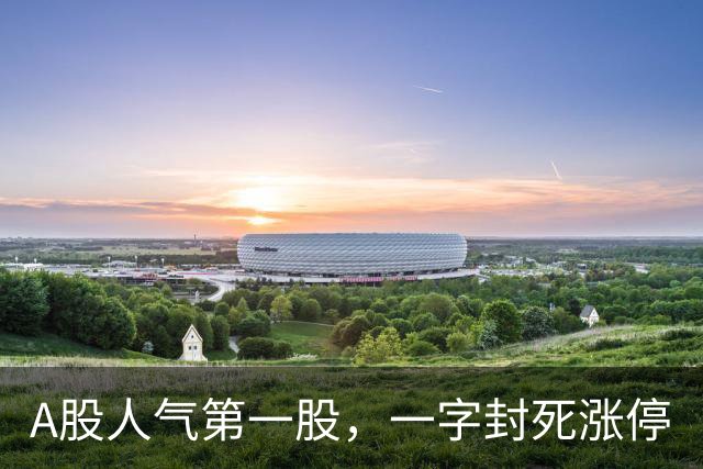 A股人气第一股，一字封死涨停